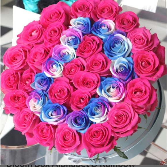 Meet your Posher, Dima - Picture 2 of 2